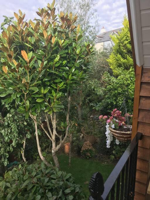 Bumble Bee Cottage Plymouth Exterior foto